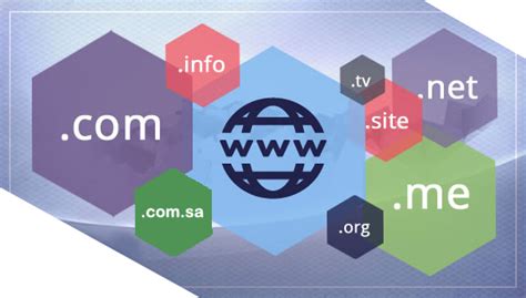 domain hosting in saudi arabia|Saudi Domain Name Registration Services.